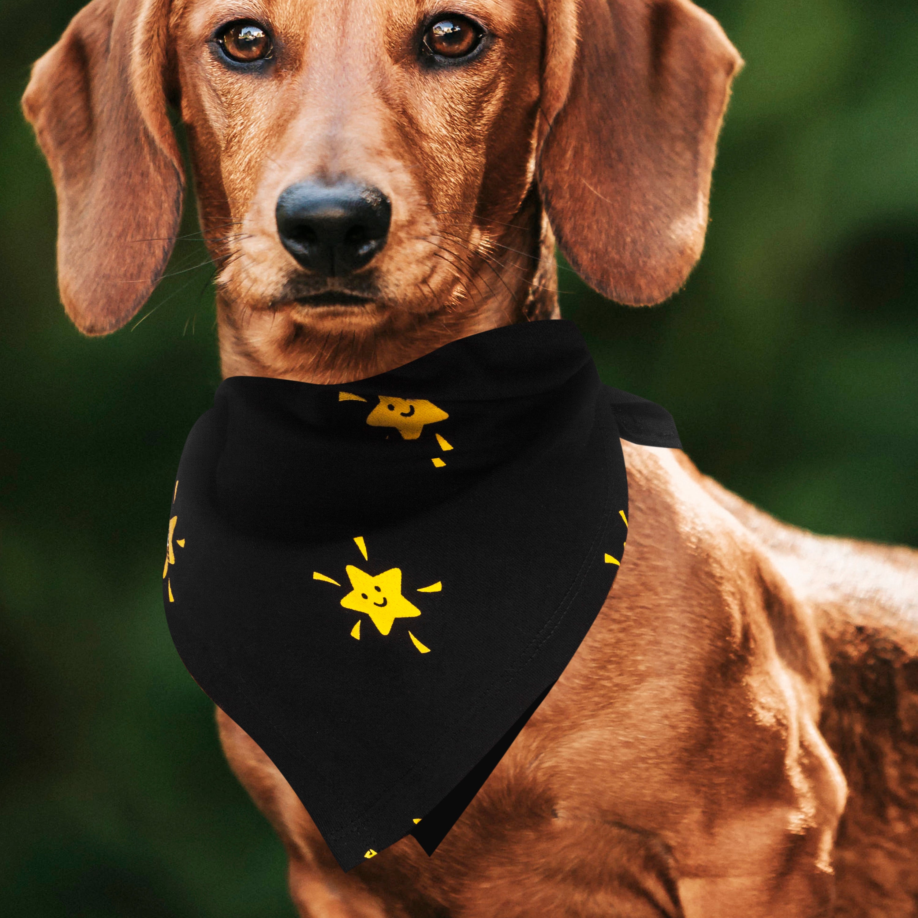 Matching Dog Bandana and Owner T-Shirt